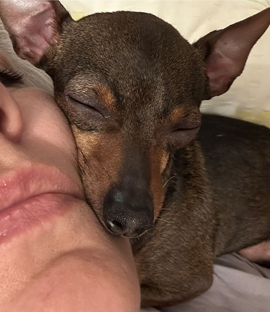 ФОТО КОНКУРС 2025 ПЕДИГРЕ МАКЕДОНИЈА МИЛЕНИЦИ (КУЧИЊА, МАЧКИ...) FOTO KONKURS 2025 MILENICI ZIVOTNI