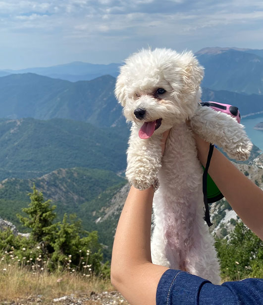 ФОТО КОНКУРС 2025 ПЕДИГРЕ МАКЕДОНИЈА МИЛЕНИЦИ (КУЧИЊА, МАЧКИ...) FOTO KONKURS 2025 MILENICI ZIVOTNI