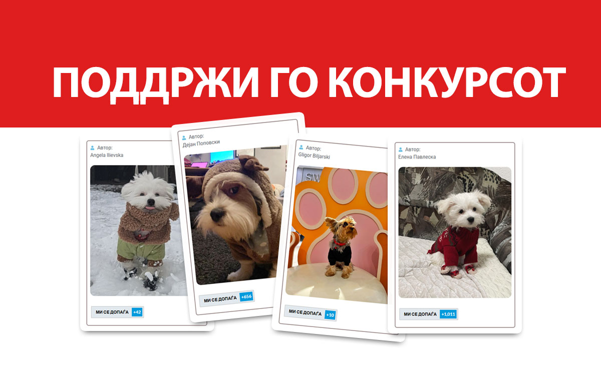ФОТО КОНКУРС 2025 ПЕДИГРЕ МАКЕДОНИЈА МИЛЕНИЦИ (КУЧИЊА, МАЧКИ...) FOTO KONKURS 2025 MILENICI ZIVOTNI