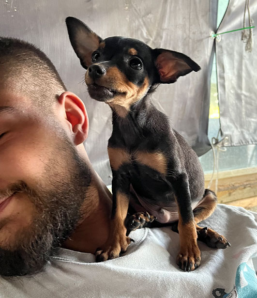 ФОТО КОНКУРС 2025 ПЕДИГРЕ МАКЕДОНИЈА МИЛЕНИЦИ (КУЧИЊА, МАЧКИ...) FOTO KONKURS 2025 MILENICI ZIVOTNI