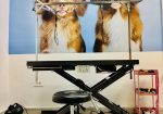WOOF Dog Grooming & Spa Skopje