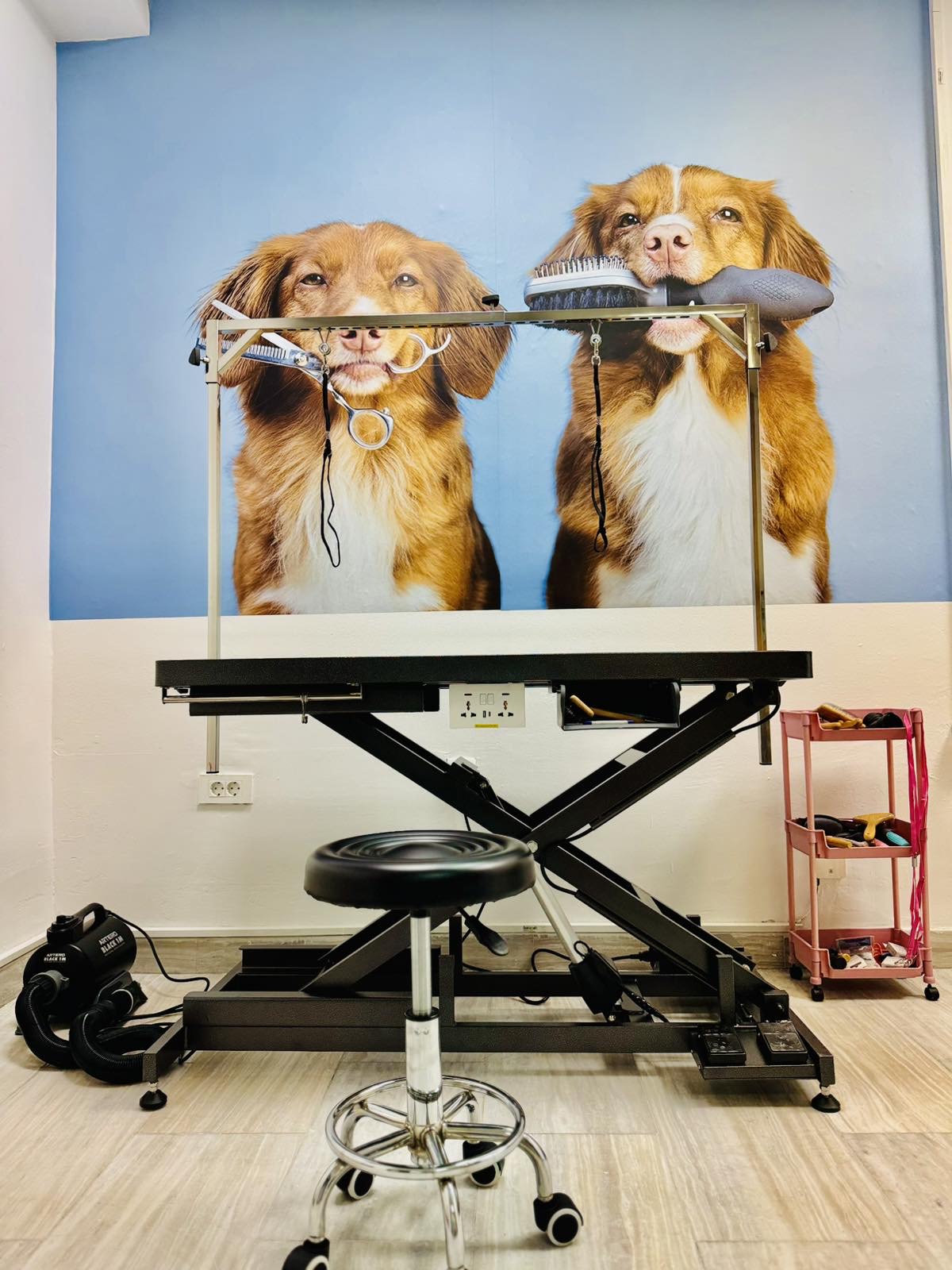 WOOF Dog Grooming & Spa Skopje