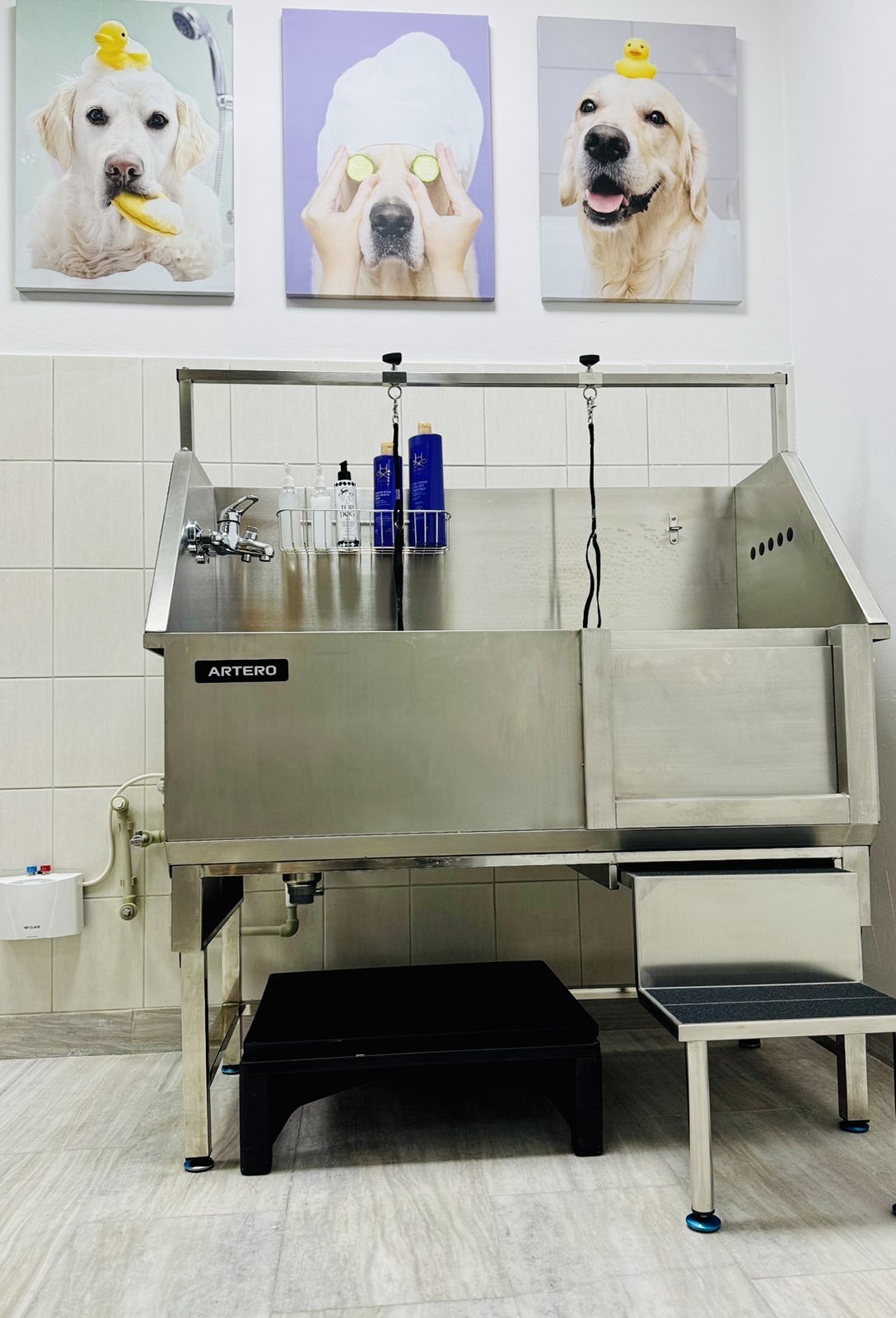 WOOF Dog Grooming & Spa Skopje