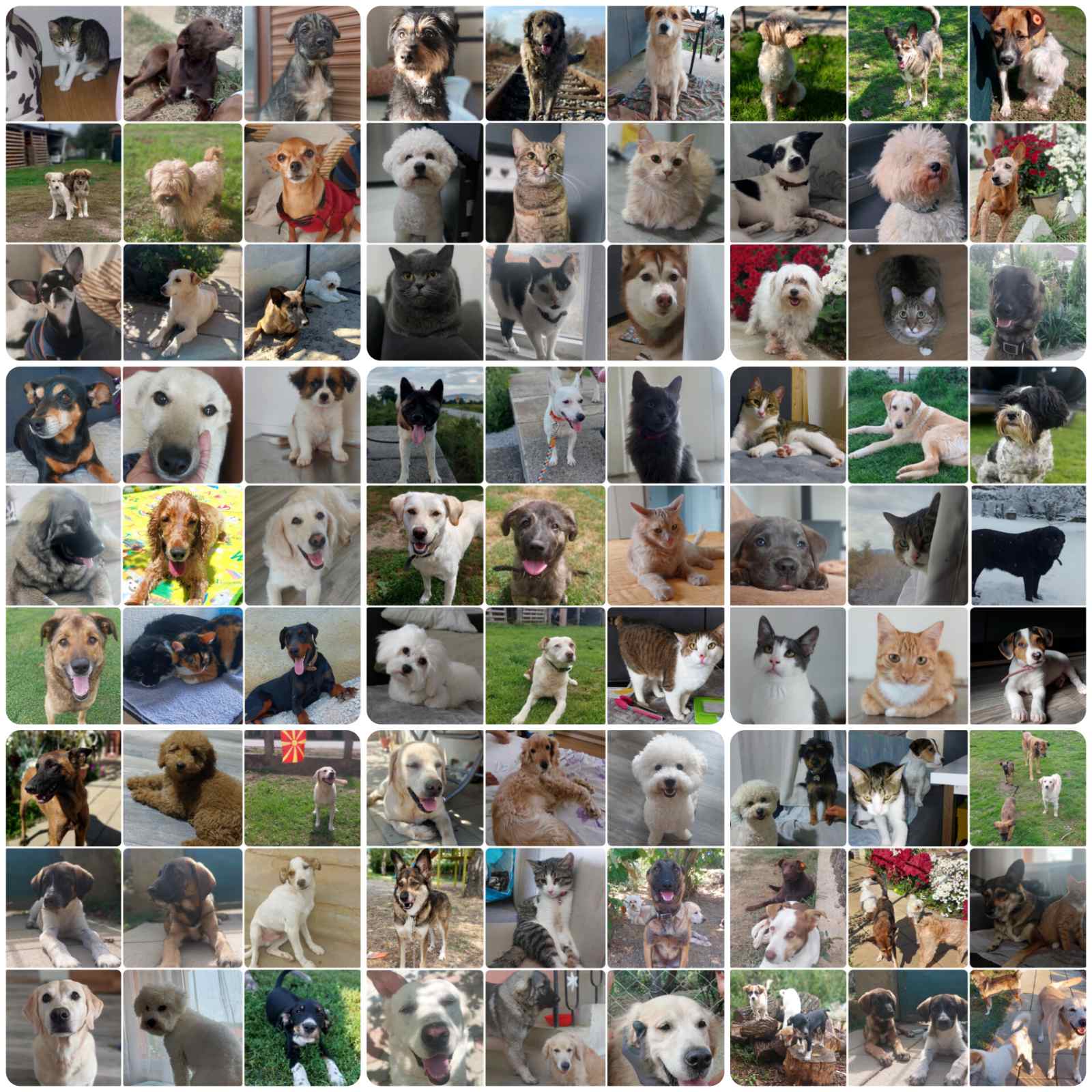 Пансион Queen and King / Pansion