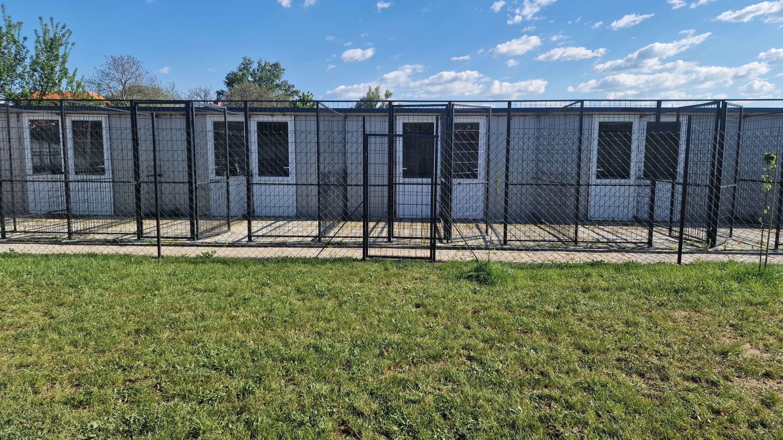 Дневен престој и хотел за кучиња