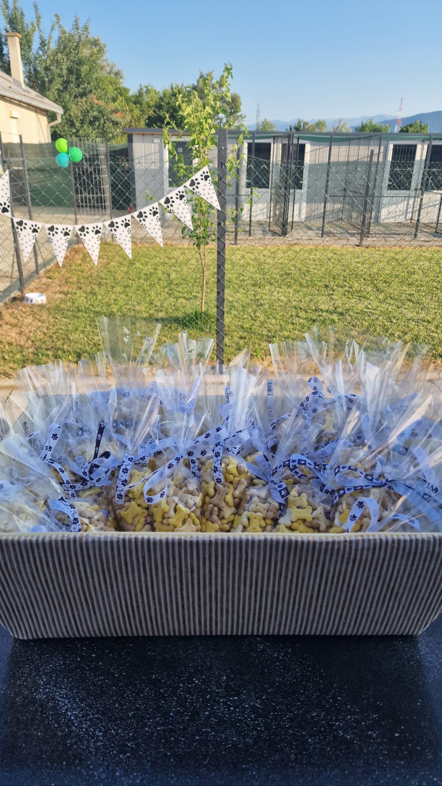 Дневен престој и хотел за кучиња