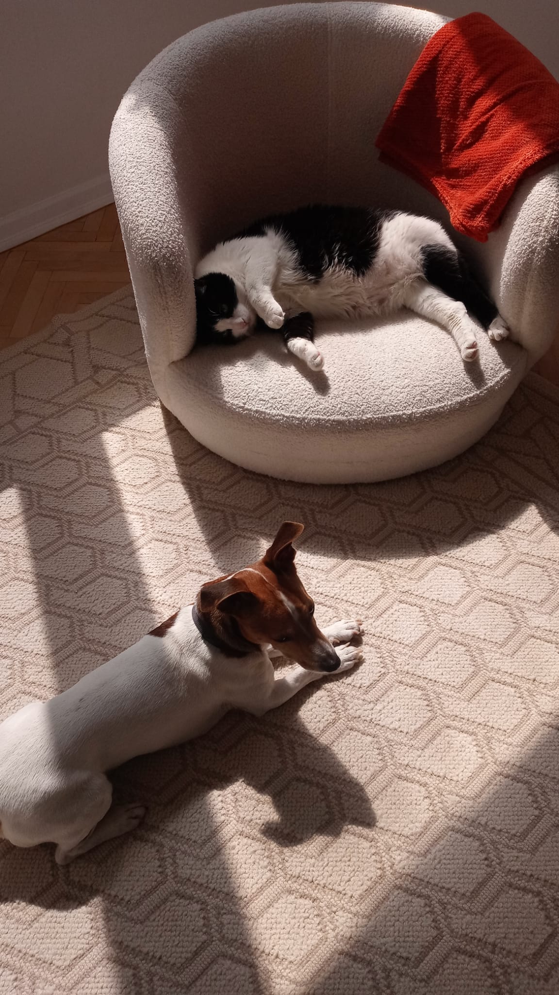 Хотел и грижа за миленици