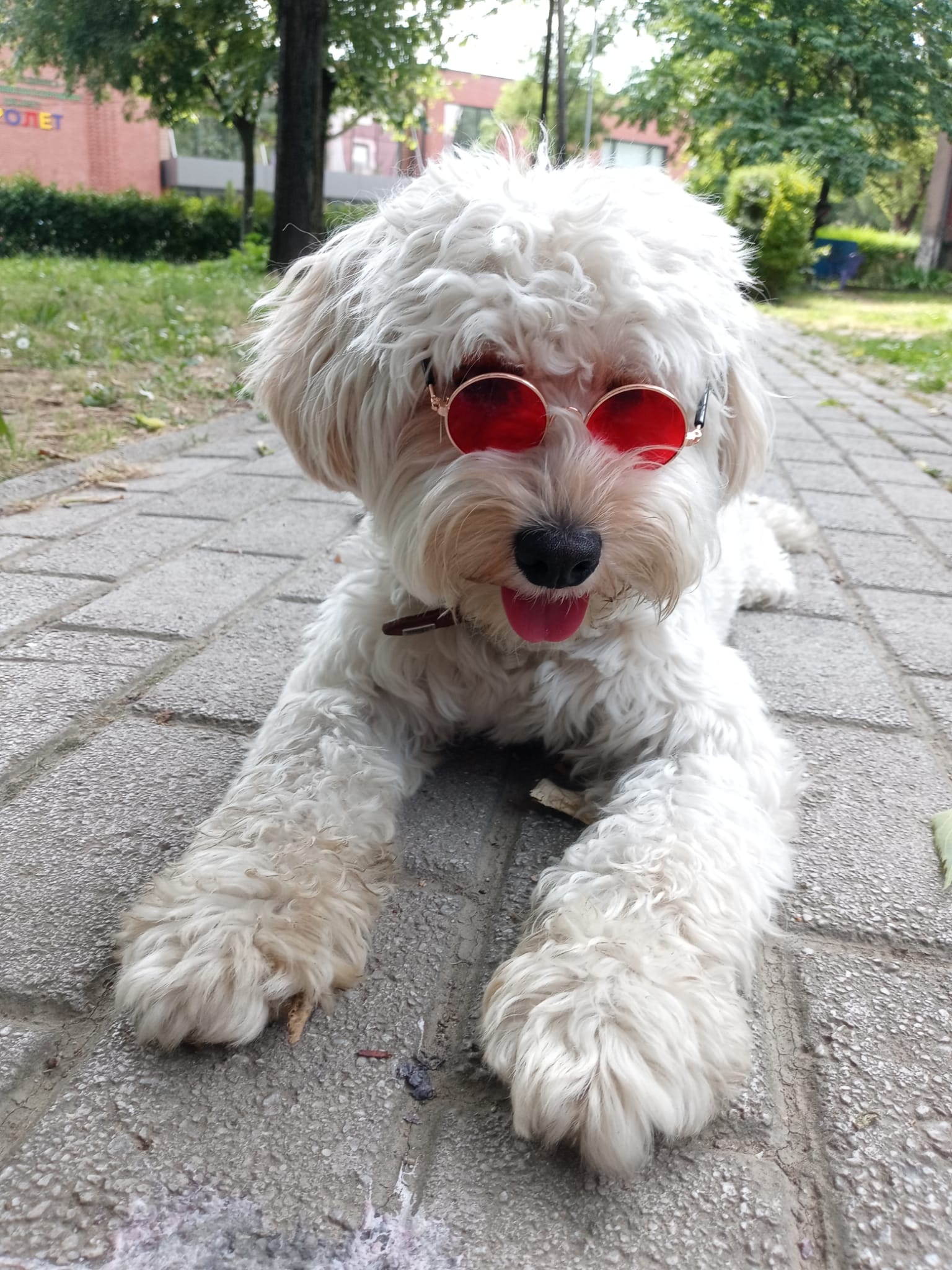 Хотел и грижа за миленици