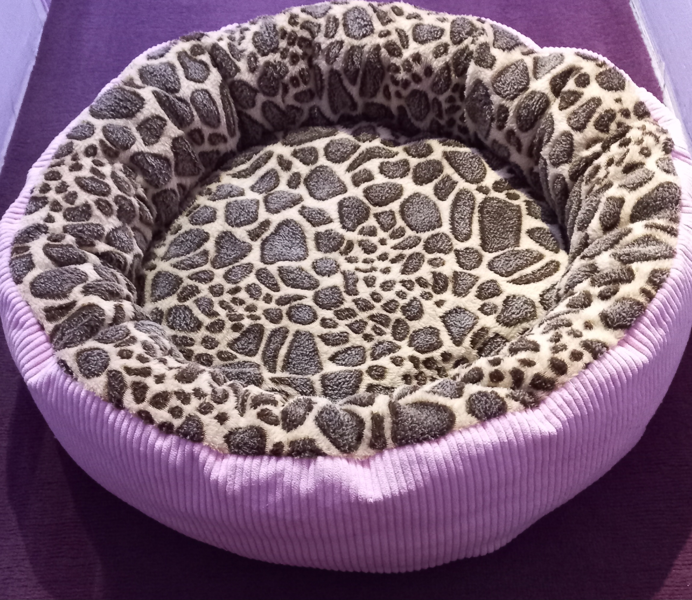 Легла за кучиња