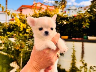 PHOTO-2026-01-01-14-32-38