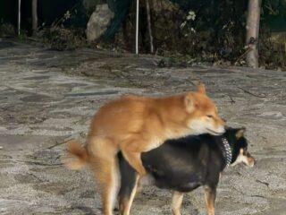 172e89fd-96f0-4e3c-a0e7-898e877166a9